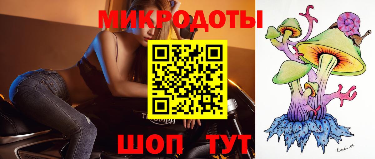 Галлюциногенные грибы Psilocybe Полевской